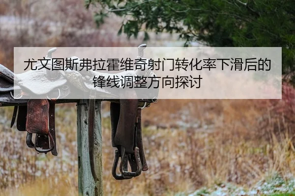 尤文图斯弗拉霍维奇射门转化率下滑后的锋线调整方向探讨