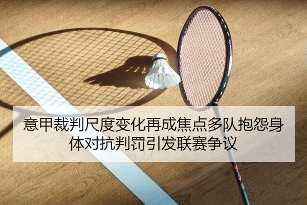 意甲裁判尺度变化再成焦点多队抱怨身体对抗判罚引发联赛争议